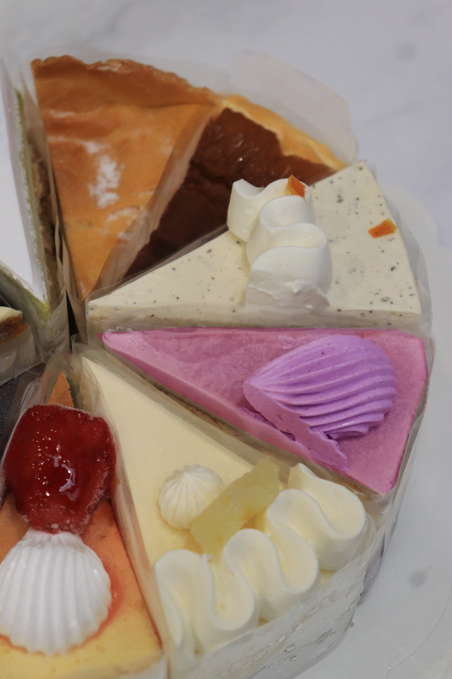 ROUND THE WORLD (NEW ARRIVAL)