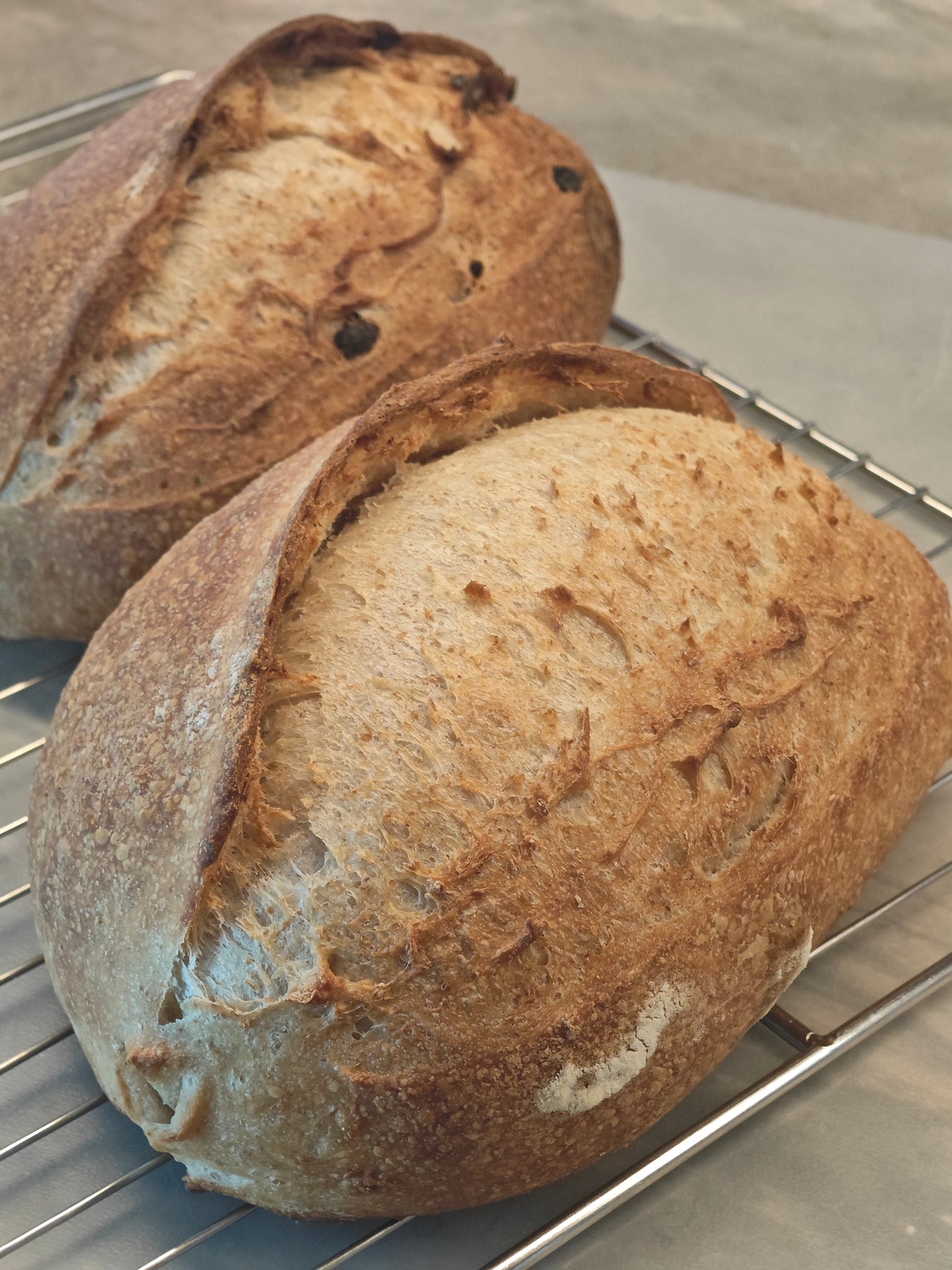 Freshly Made Sourdough