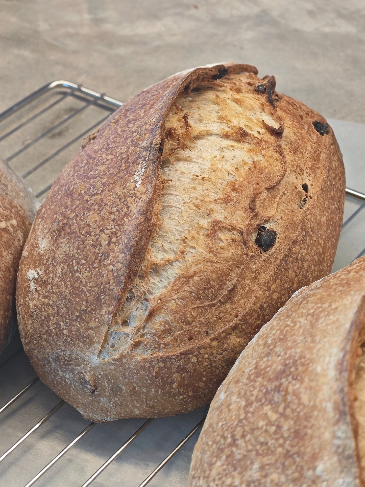 Freshly Made Sourdough